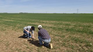 "’Itab est un institut technique agricole et agro-industriel qui travaille sur l’amont et l’aval", indique son directeur. "’Itab est un institut technique agricole et agro-industriel qui travaille sur l’amont et l’aval", indique son directeur.