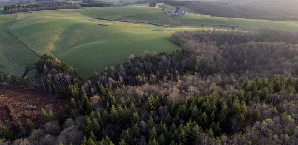 L'accord de Kunming-Montréal prévoit de protéger 30 % des zones terrestres et mondiales.