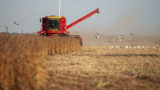 Le soja représente 15 % des exportations argentines. Le soja représente 15 % des exportations argentines.