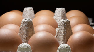 La CFA estime que sans prise en compte des coûts de production des éleveurs de poules pondeuses, des cessations d'acivité pourraient survenir. La CFA estime que sans prise en compte des coûts de production des éleveurs de poules pondeuses, des cessations d'acivité pourraient survenir.