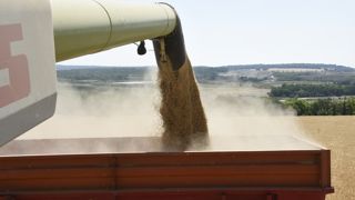 Les prix des céréales sont moins volatils à l'approche des fermetures de marché en fin d'année. Les prix des céréales sont moins volatils à l'approche des fermetures de marché en fin d'année.