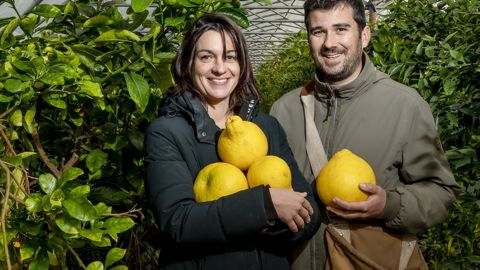 Perrine et Étienne Schaller, agronomes et producteur d'agrumes.