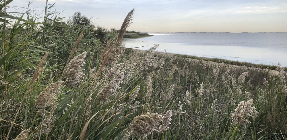 L'étang de Vaccarès étire ses eaux calmes jusqu'à la Méditerranée.
