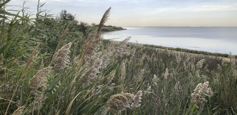L'étang de Vaccarès étire ses eaux calmes jusqu'à la Méditerranée.