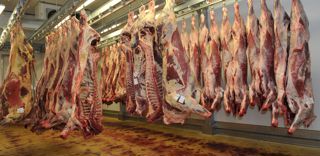 Les animaux de boucherie restent parmi les plus gros contributeurs de la hausse globale des produits agricoles en 2022. Les animaux de boucherie restent parmi les plus gros contributeurs de la hausse globale des produits agricoles en 2022.