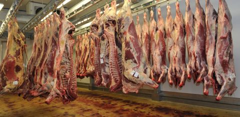 Les animaux de boucherie restent parmi les plus gros contributeurs de la hausse globale des produits agricoles en 2022. Les animaux de boucherie restent parmi les plus gros contributeurs de la hausse globale des produits agricoles en 2022.
