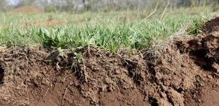 Le non-retournement des prairies fait partie des critères proposés pour qu'un projet bas carbone soit considéré comme étant favorable aux écosystèmes naturels. Les projets respectant cette condition devraient être bonifiés pour le secteur aérien. Le non-retournement des prairies fait partie des critères proposés pour qu'un projet bas carbone soit considéré comme étant favorable aux écosystèmes naturels. Les projets respectant cette condition devraient être bonifiés pour le secteur aérien.