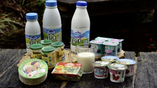 En 2022, la production de lait bio a augmenté de 300 Ml depuis 2019, alors que la consommation est à - 8% (lait UHT) à - 18% (crème et ultrafrais) par rapport à 2019. En 2022, la production de lait bio a augmenté de 300 Ml depuis 2019, alors que la consommation est à - 8% (lait UHT) à - 18% (crème et ultrafrais) par rapport à 2019.