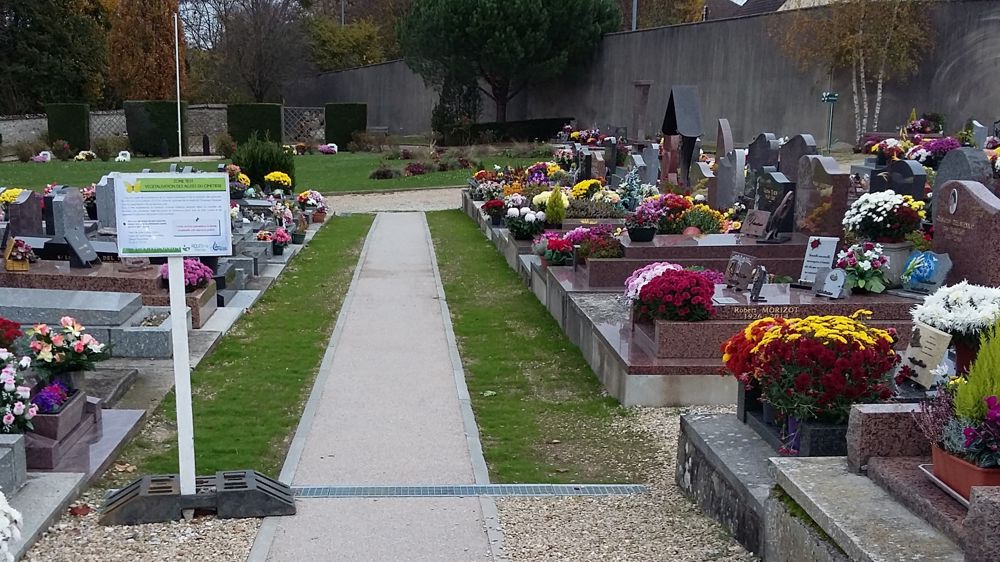 Test de végétalisation dans un cimetière.