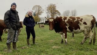 Cédric Prugne, un des éleveurs passionnés qui ont permis de sauver la ferrandaise, installé à Laqueville dans le Puy-de-Dôme, et Morgane Morandeau, l’animatrice de l’association de sauvegarde de la race. Cédric Prugne, un des éleveurs passionnés qui ont permis de sauver la ferrandaise, installé à Laqueville dans le Puy-de-Dôme, et Morgane Morandeau, l’animatrice de l’association de sauvegarde de la race.