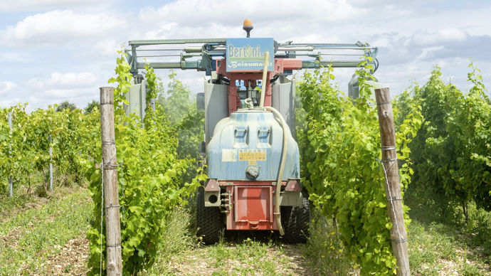 Avec une faible pression, le coût à l’hectare en antimildiou a baissé de 30 %, passant de 250 € en 2021 à 175 € en 2022.