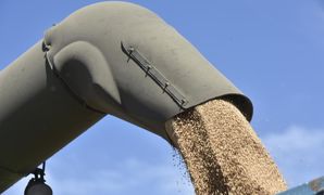 Le Conseil international des céréales (CIC) revoit à la hausse ses prévisions de récolte mondiale de céréales pour 2022-2023. Le Conseil international des céréales (CIC) revoit à la hausse ses prévisions de récolte mondiale de céréales pour 2022-2023.