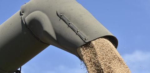 Le Conseil international des céréales (CIC) revoit à la hausse ses prévisions de récolte mondiale de céréales pour 2022-2023. Le Conseil international des céréales (CIC) revoit à la hausse ses prévisions de récolte mondiale de céréales pour 2022-2023.