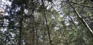Quatre sénateurs ont déposé une proposition de loi sur les feux de forêt dont l'un des axes est la mobilisation des agriculteurs dans la prévention des risques. Quatre sénateurs ont déposé une proposition de loi sur les feux de forêt dont l'un des axes est la mobilisation des agriculteurs dans la prévention des risques.