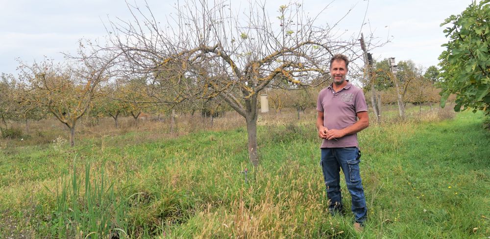 Mare au premier plan, nichoir à mésanges, abris à chauves-souris à l'arrière plan : dans son verger, Sébastien Blache multiplie les infrastructure d’accueil pour la biodiversité.