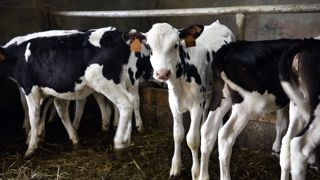 L'UGPVB et les OP de l'Ouest demandent à ce que l'État français adopte une « position ferme » concernant la révision de la directive sur les émissions industrielles (IED). L'UGPVB et les OP de l'Ouest demandent à ce que l'État français adopte une « position ferme » concernant la révision de la directive sur les émissions industrielles (IED).