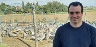 Toutes les deux semaines, Nicolas Lechner élabore sa gamme de produits à base de canard, et d’oies en fin d’année. Toutes les deux semaines, Nicolas Lechner élabore sa gamme de produits à base de canard, et d’oies en fin d’année.