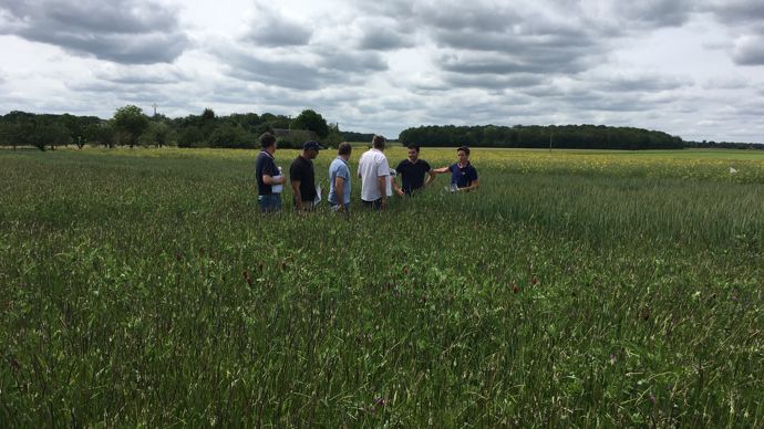 Les essais, ici à la coopérative de Bonneval, ont montré que récolter la Cive à un stade plus tardif permet un gain de rendement entre le stade épiaison et le stade grain pâteux estimé à 5,6 t de MS/ha pour l’orge et 3,4 t de MS/ha pour le triticale.