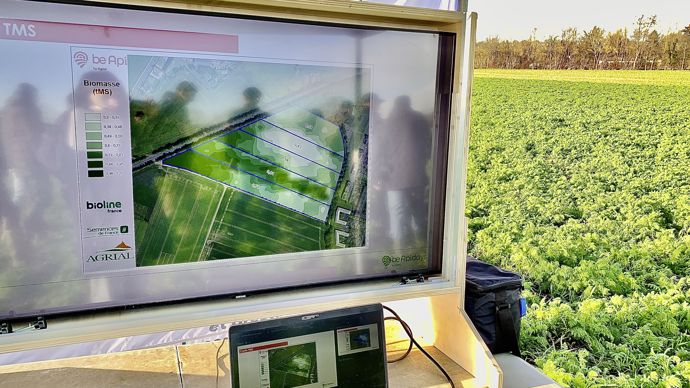 L'outil Be Api Carbo'N permet de cartographier la quantité de biomasse, l'azote restitué et le carbone séquestré de cinq couverts végétaux (phacélie pure, moutarde pure et trois mélanges) implantés ici sur des parcelles d'essais à Louvigny (Calvados).