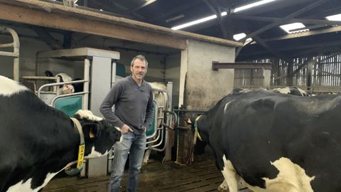 Les vaches laitières pâturent en journée et bénéficient d'une ration à l'auge durant la nuit.