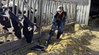Pauline Garcia, comportementaliste animale et éleveuse dans le Cantal. Pauline Garcia, comportementaliste animale et éleveuse dans le Cantal.