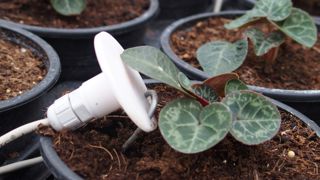 Un capteur de température permet de mesurer les besoins en chauffage au plus près de la plante, et donc au plus juste. Un capteur de température permet de mesurer les besoins en chauffage au plus près de la plante, et donc au plus juste.