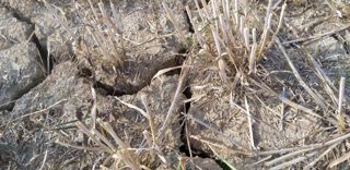 2022 a été une année climatique extrême pour l’agriculture avec du gel, de la grêle et la sécheresse. 2022 a été une année climatique extrême pour l’agriculture avec du gel, de la grêle et la sécheresse.