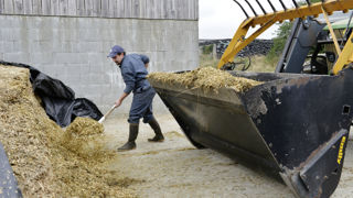 L'accord "politique" entre les partenaires sociaux est acté en vue d'une augmentation des rémunérations des salariés de la production agricole. L'accord "politique" entre les partenaires sociaux est acté en vue d'une augmentation des rémunérations des salariés de la production agricole.