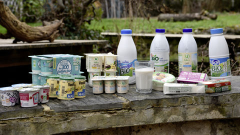 Les prix des produits laitiers bio ont progressé de quelques pourcents en début d'année à +10% en octobre dans les rayons. Une hausse qui n'a pas profité aux producteurs. Les prix des produits laitiers bio ont progressé de quelques pourcents en début d'année à +10% en octobre dans les rayons. Une hausse qui n'a pas profité aux producteurs.