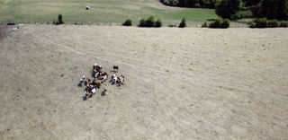 Les éleveurs de ruminants souhaitent pouvoir s'appuyer sur un réseau de fermes de référence en cas de défaillance du système indiciel pour le calcul des pertes fourragères. Les éleveurs de ruminants souhaitent pouvoir s'appuyer sur un réseau de fermes de référence en cas de défaillance du système indiciel pour le calcul des pertes fourragères.