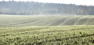 Les surfaces de céréales d'hiver sont estimées à 6,8 millions d'hectares, en hausse de 1,8 % par rapport à 2022. Les surfaces de céréales d'hiver sont estimées à 6,8 millions d'hectares, en hausse de 1,8 % par rapport à 2022.