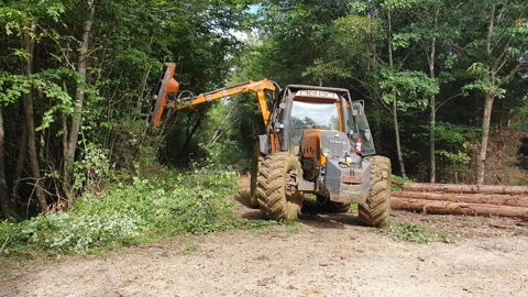 Le lamier Lineo monté au bout de l'épareuse Magistra de Noremat atteint une hauteur de travail de 8 m et peut couper des branches de plus de 20 cm de diamètre. Le lamier Lineo monté au bout de l'épareuse Magistra de Noremat atteint une hauteur de travail de 8 m et peut couper des branches de plus de 20 cm de diamètre.