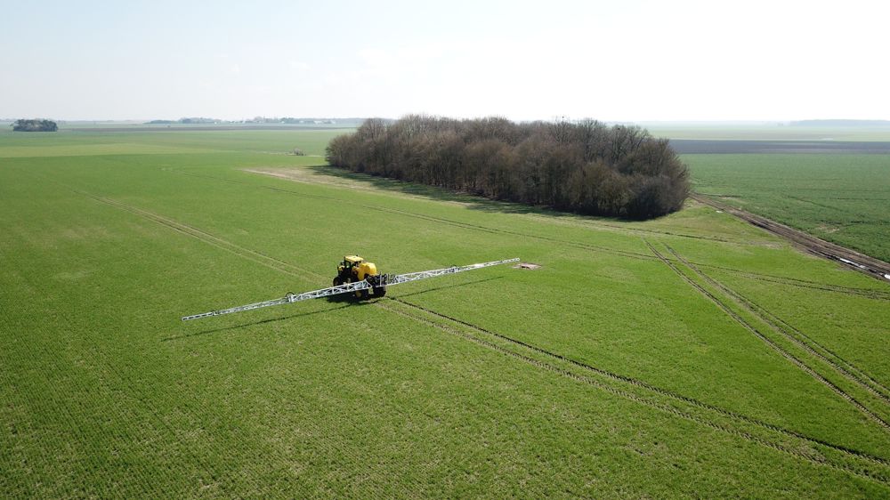 La découverte du processus de nutrition azotée ouvre la voie à une sélection des plantes les plus efficaces pour valoriser les engrais.