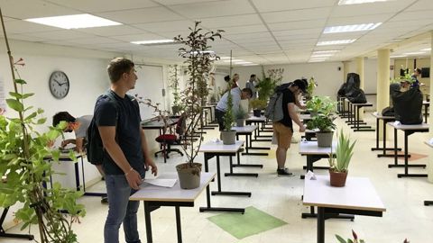 En 2023, parmi les nouveautés, un critère de connaissance des végétaux est ajouté aux niveaux 3 et 4 du concours national de reconnaissance.