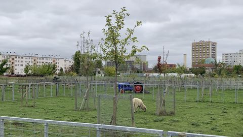 L’agriculture urbaine poursuit son développement, si l’on en croit le second baromètre que vient de publier le média spécialisé agri-city.info.