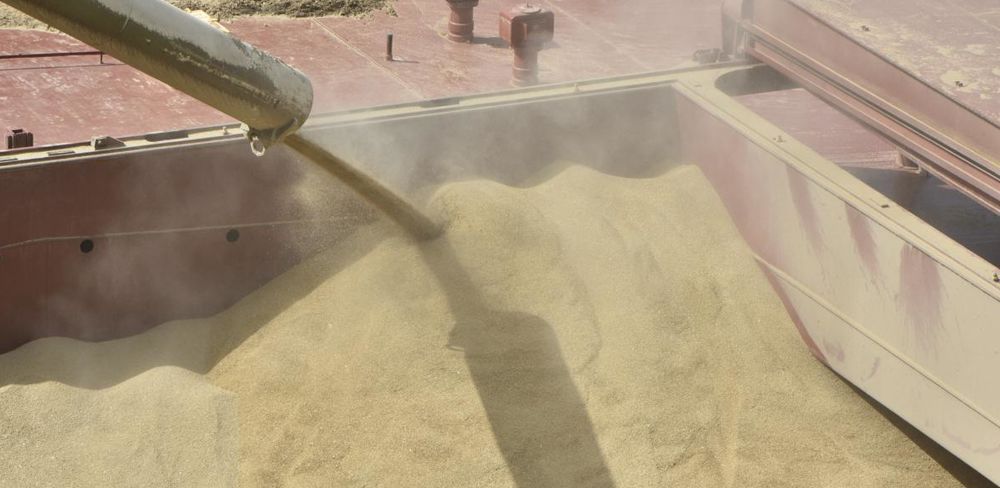 Les prix du blé, de l'orge et du colza ont décliné cette semaine note le cabinet Tallage, contrairement au cours du tourteau de soja qui a progressé.