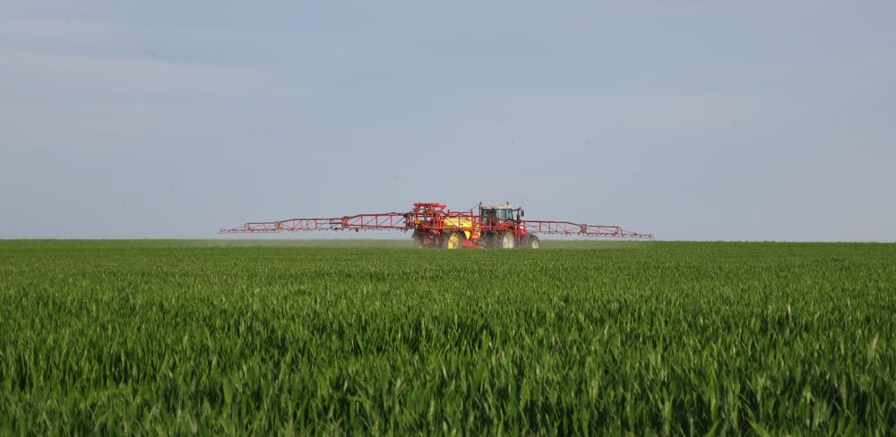 Pollinis dénonce la dernière prolongation temporaire accordée par la Commission au boscalid, un fongicide notamment employé sur céréales.