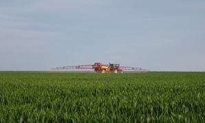 Pollinis dénonce la dernière prolongation temporaire accordée par la Commission au boscalid, un fongicide notamment employé sur céréales.