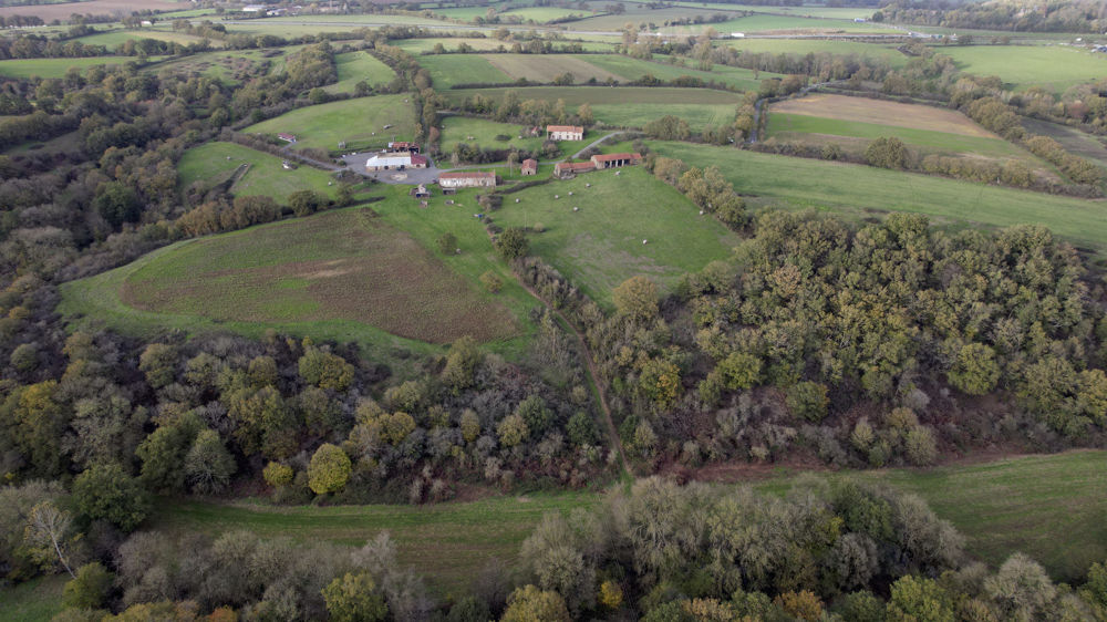Les sociétés possèdent en propriété 850 000 hectares de surface agricole.