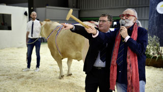 Cinq vaches blondes d'Aquitaine de boucherie ont participé le 27 février à la vente aux enchères organisées dans le cadre du Salon de l'agriculture. Omerta, qui a remporté le record de vente (22 €/kg de carcasse), ne rejoindra toutefois pas l'étal d'une boucherie comme les quatre autres participantes mais l'enclos d'une ferme pédagogique. Cinq vaches blondes d'Aquitaine de boucherie ont participé le 27 février à la vente aux enchères organisées dans le cadre du Salon de l'agriculture. Omerta, qui a remporté le record de vente (22 €/kg de carcasse), ne rejoindra toutefois pas l'étal d'une boucherie comme les quatre autres participantes mais l'enclos d'une ferme pédagogique.