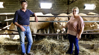Le documentaire d'Édouard Bergeon dépeint avec justesse le drame humain vécu par Bernard et Sylvie Dahetze dont le troupeau de bovins a été abattu. Le documentaire d'Édouard Bergeon dépeint avec justesse le drame humain vécu par Bernard et Sylvie Dahetze dont le troupeau de bovins a été abattu.