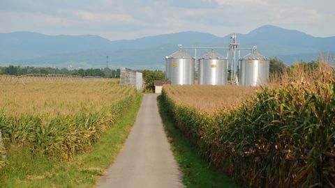 Le kilowatt est "hors de prix" aux yeux des irrigants alsaciens.