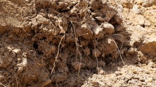 Les membres de la Climate Agriculture Alliance vont participer aux échanges menés dans le cadre de la construction du cadre européen de la certification carbone.