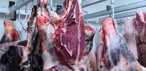 Les prix à la production des produits agricoles est en hausse, tiré par l'augmentation des prix de la plupart des animaux et des produits associés.