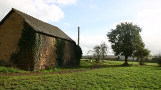 Pendant toute la durée du bail, le bailleur est tenu d’entretenir les lieux loués et d’effectuer les réparations nécessaires.