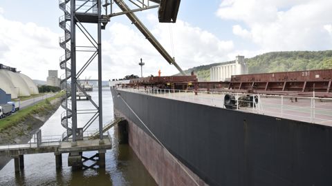 L’accord sur le corridor d'exportations en mer Noire prend fin le 18 mars 2023. Les négociations pour son renouvellement sont "très serrées", indique FranceAgriMer.