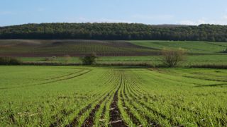 Dans son étude prospective qui nous plonge dans une agriculture sans pesticide en 2050, l'Inrae souligne notamment la nécessité d'impliquer tous les acteurs, et de mettre en place des mécanismes de partage des risques pris par les agriculteurs.