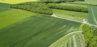 Dans la voie des pratiques de l'écorégime, l'agriculteur s'engage à atteindre une certaine diversité des cultures, limiter le labour des prairies permanentes et implanter une couverture végétale sur l'interrang des cultures pérennes, le cas échéant. Dans la voie des pratiques de l'écorégime, l'agriculteur s'engage à atteindre une certaine diversité des cultures, limiter le labour des prairies permanentes et implanter une couverture végétale sur l'interrang des cultures pérennes, le cas échéant.