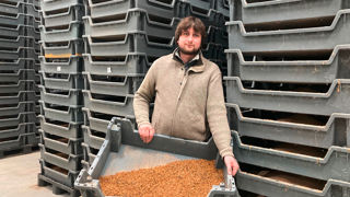Rémy Petoton produit des vers de farine dans un bâtiment d'élevage spécialement conçu pour cette production novatrice. Rémy Petoton produit des vers de farine dans un bâtiment d'élevage spécialement conçu pour cette production novatrice.