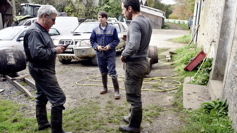 Au centre, un apprenti dans une exploitation laitière en Bretagne. Déjà très élevé, le taux d'emploi des apprentis repart à la hausse.